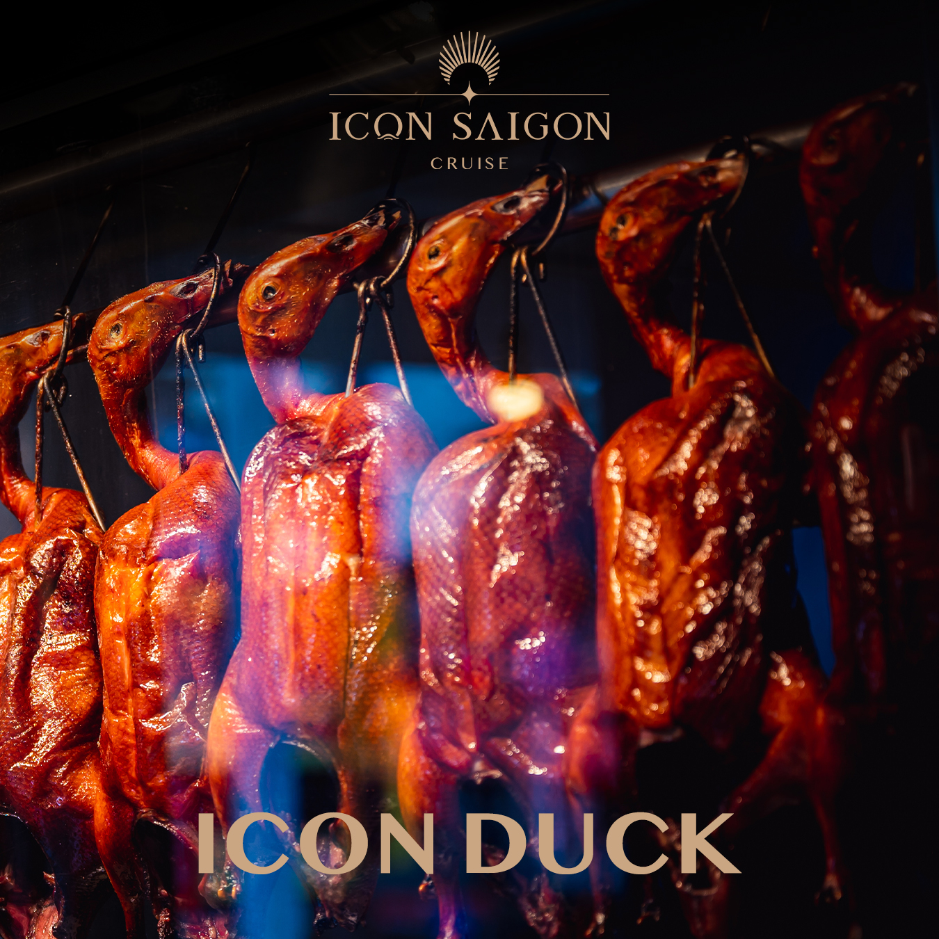 505933391_122158478924439904_3980143177065743429_n